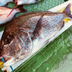 鯛ラバ 好釣果でした！