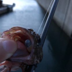 子供と海水浴帰りに♪