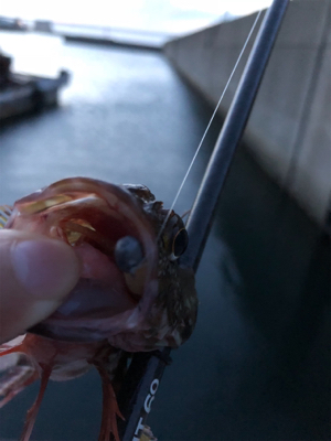 子供と海水浴帰りに♪