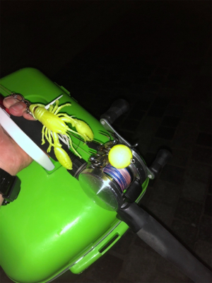 オクトパッシング