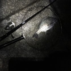 ボウズかと思った