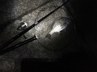 ボウズかと思った