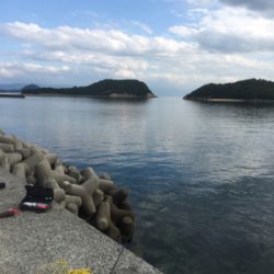 キスが釣れ始め