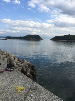 キスが釣れ始め