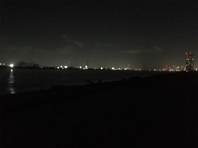 淀川ブリームゲーム 潮の流れを読む