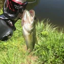 ドーン初フィッシュ！！