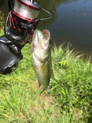 ドーン初フィッシュ！！