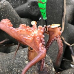 やっと、始まったかな？