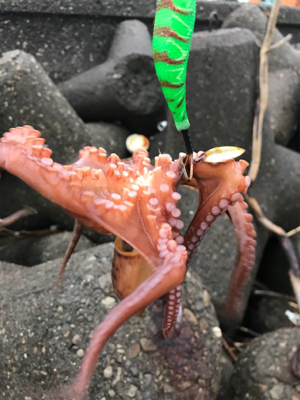 やっと、始まったかな？