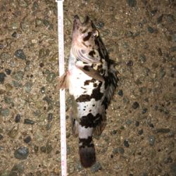 親父たちの釣行 台4弾