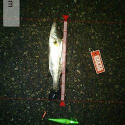 夕涼みを兼ねて