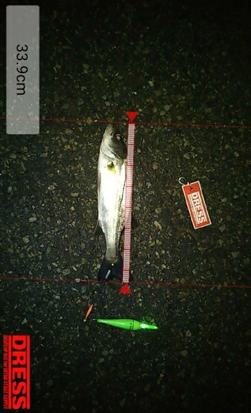 夕涼みを兼ねて