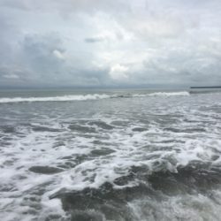 今シーズン初!のソゲ(-。-;