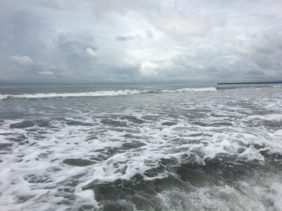 今シーズン初!のソゲ(-。-;