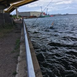 オクトパッシング