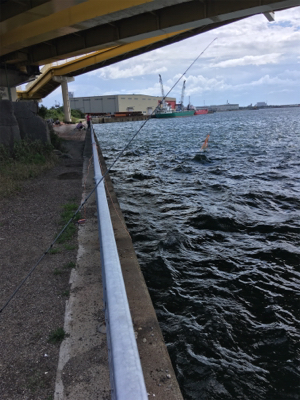 オクトパッシング