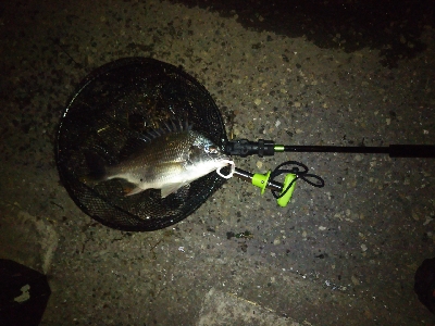 嵐の後は釣れるが釣り難い