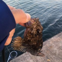 岬中学校〜プール裏まで通行禁止になってました。