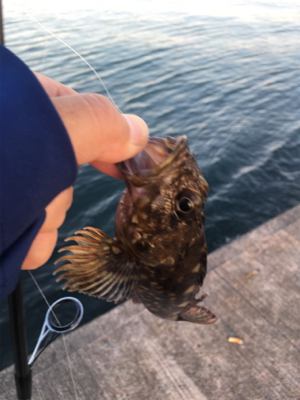 岬中学校〜プール裏まで通行禁止になってまし…