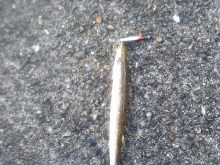 チョコっとカマッシング