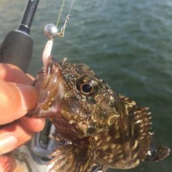 いつもの癒しスポット