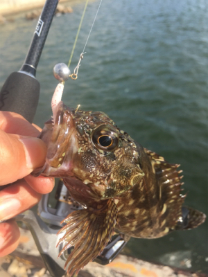 いつもの癒しスポット