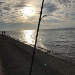 ミニミニツバス