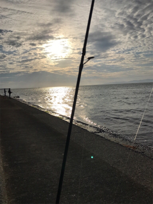 ミニミニツバス