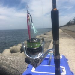 今期初LSJはバラしまくり