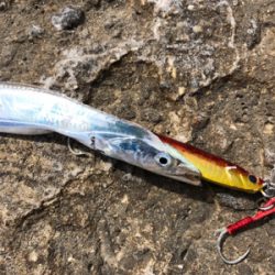 五目釣りしました