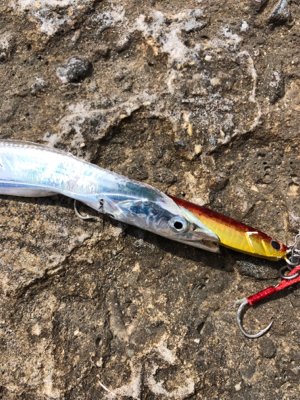 五目釣りしました