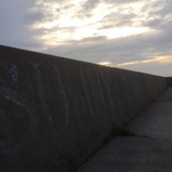 夕方2時間程、テトラにて、青イソメで。