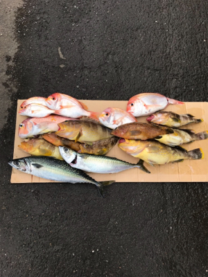 マイボート タイラバ、ジギング、イカメタル…