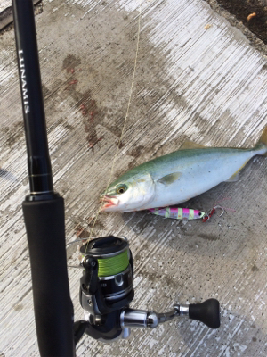 HEY!ツバスくん!