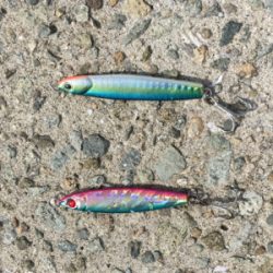 暑かった〜‼︎