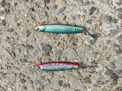 暑かった〜‼︎