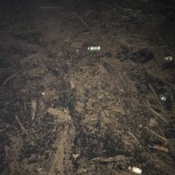 あかーん！！！