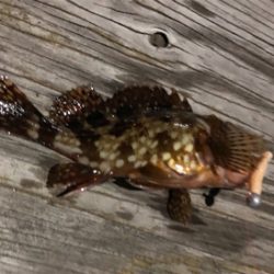 結局ガシリング