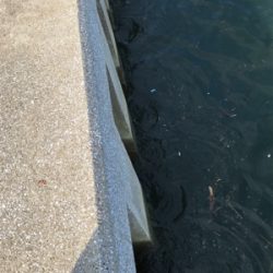 暑さに負けずに！