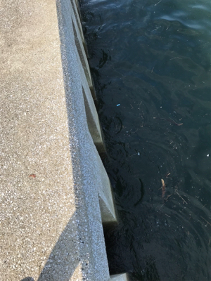 暑さに負けずに！