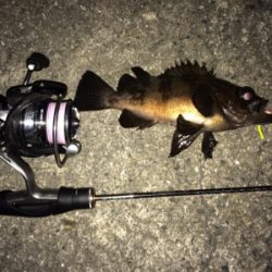 メバリングナイトゲーム☆GUNNING-STYLE