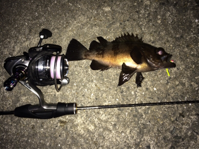 メバリングナイトゲーム☆GUNNING-STYLE