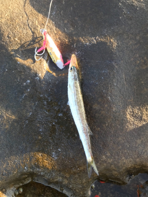 トップの合間に