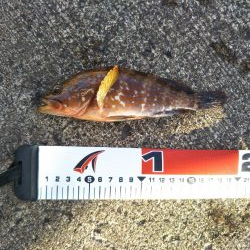 ロックフェスティバル