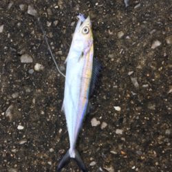 熱中症注意！！