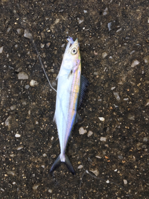 熱中症注意！！