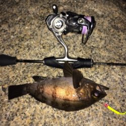 ナイトメバリング☆GUNNING-STYLE