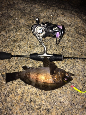 ナイトメバリング☆GUNNING-STYLE