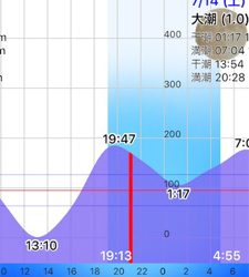 淀川ブリームゲーム 一転渋い