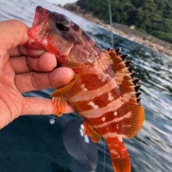 ロックフィッシュ♪